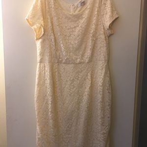 Off White Lace Dress New with Tags